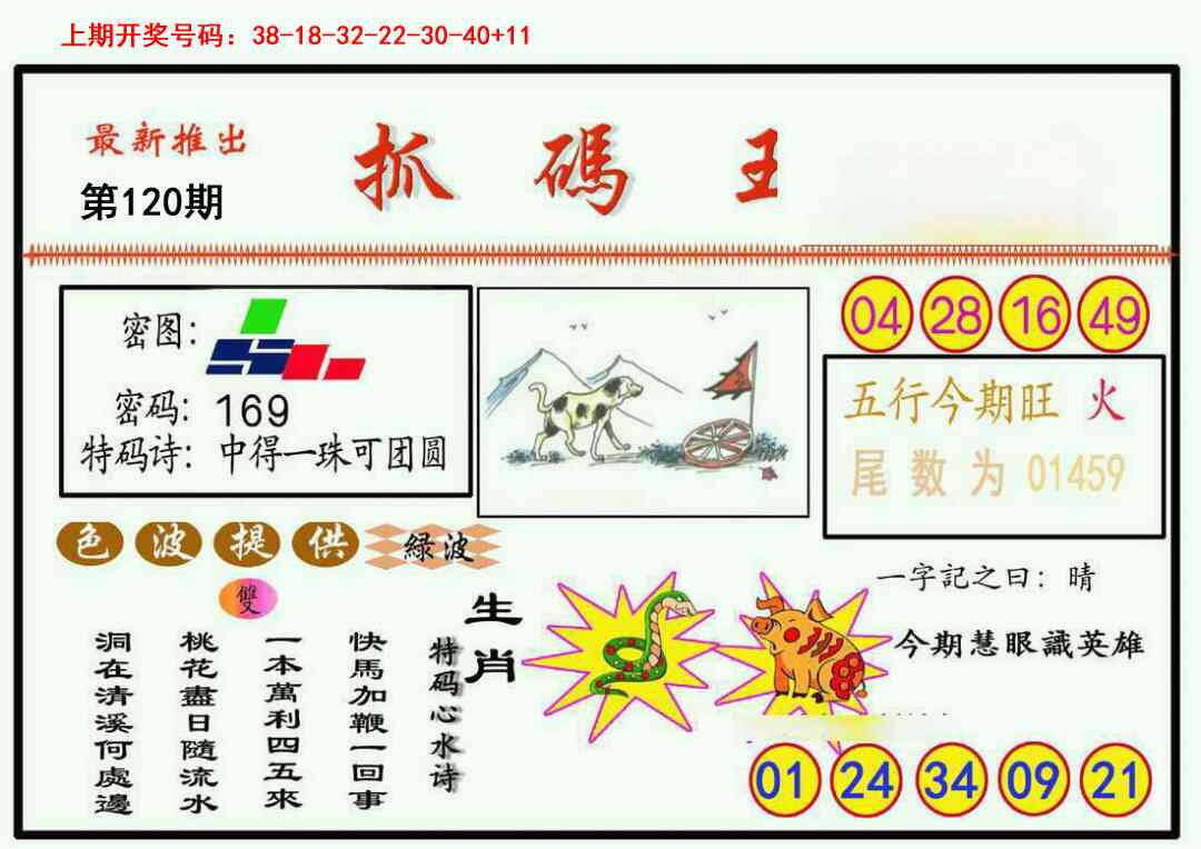 澳彩图库 2026 抓码王